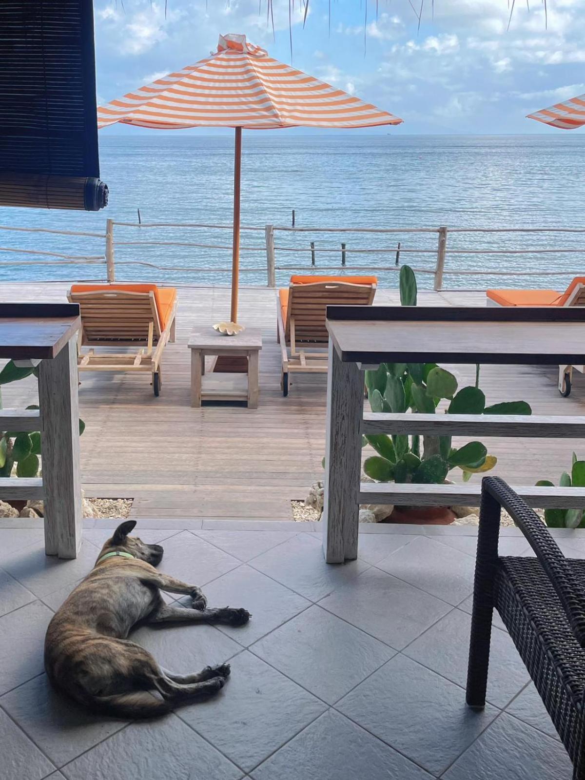 Vns Beachfront Guesthouse Ped Экстерьер фото